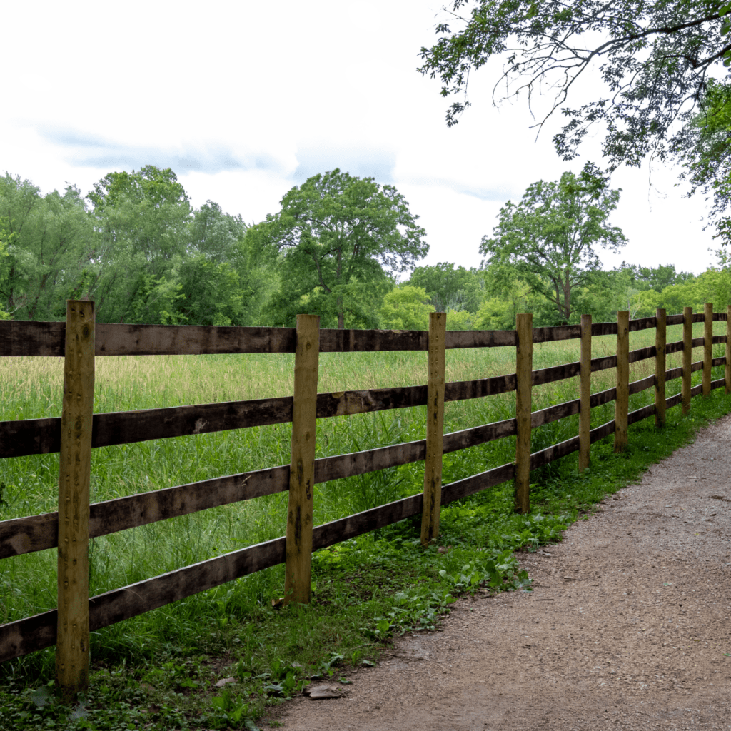 Pathway beside wooden fence and grassy field.