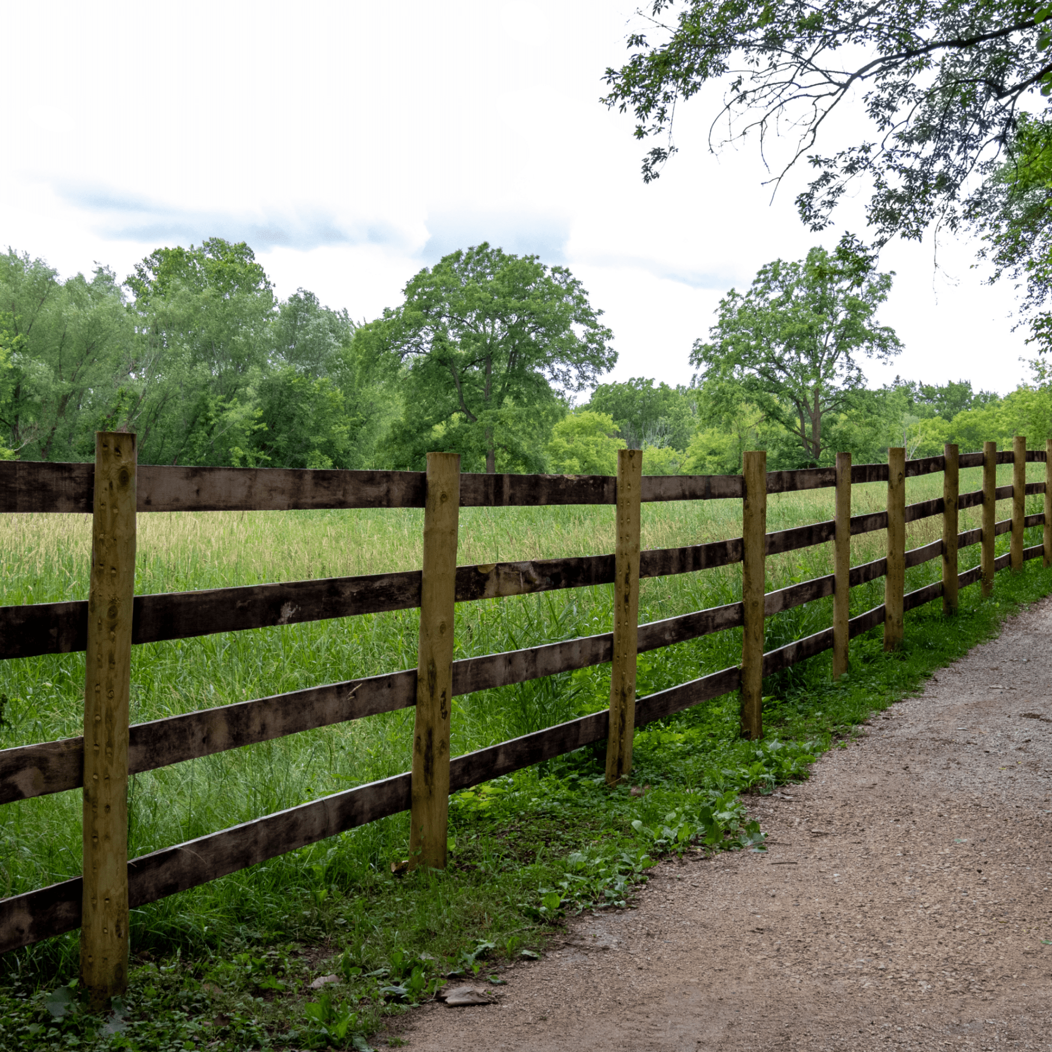 Pathway beside wooden fence and grassy field. Pathway beside wooden fence and grassy field.