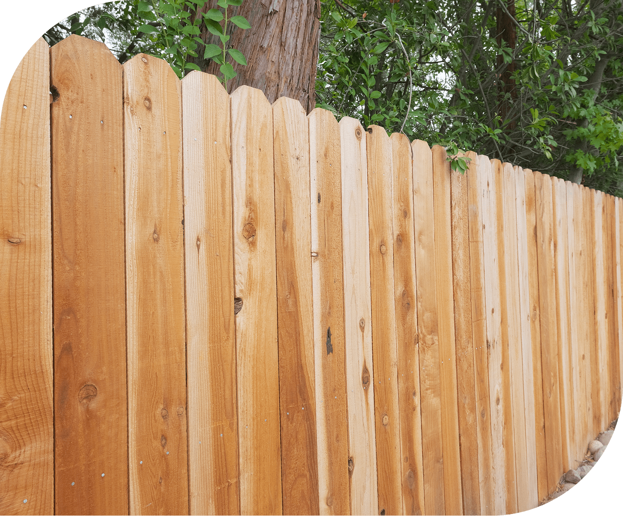 Wooden fence with trees in background.