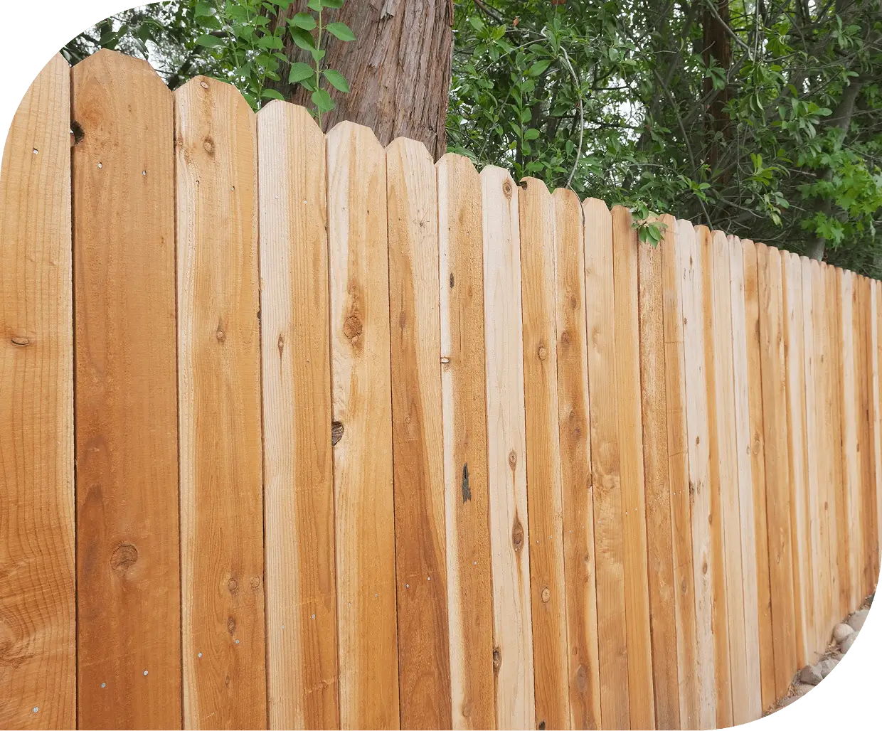 Wooden fence with trees in background. Wooden fence with trees in background.